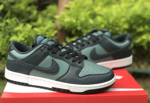Nike Dunk Low  Mineral Slate Armory Navy  DR9705-300   36-47.5